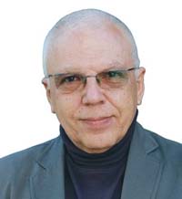 Брюксел няма да се погрижи за родната граматика