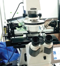 „Микрона“ – надежда за хиляди семейства