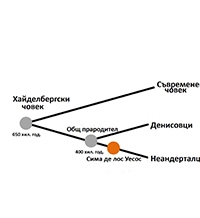 Носим гена на пещерните хора