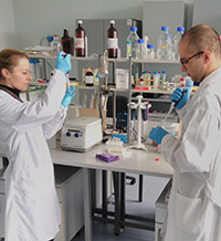 Слънчогледът има 100 вида диворастящи родственици