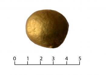 Находки и загадки