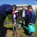 Русенски деца засадиха над 80 дръвчета