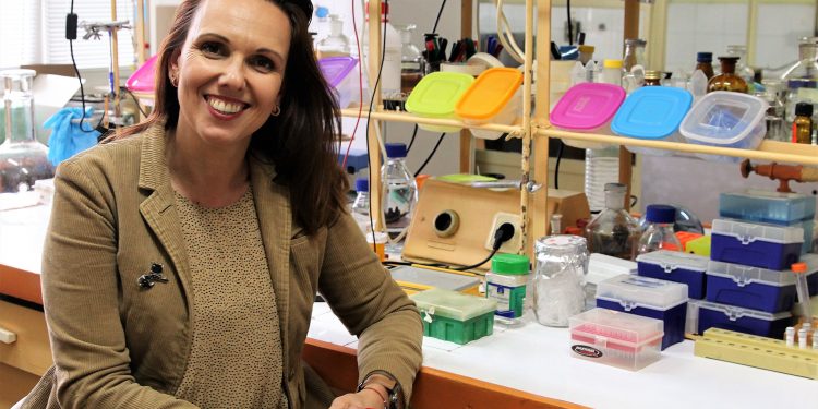 Гените на човека и  на граха са почти еднакви