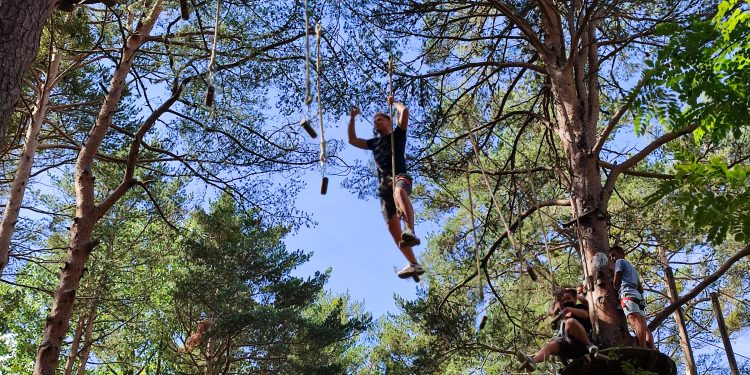 Наистина отново заедно