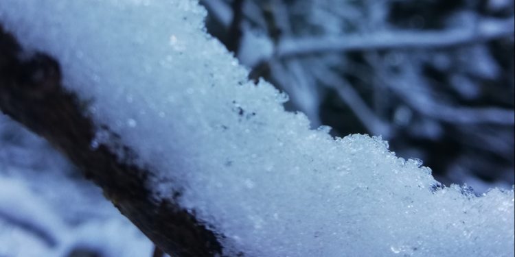 Да бъдем хора, а не потребители*