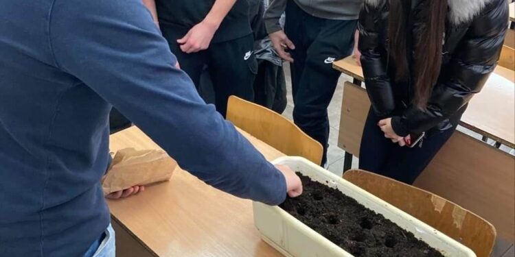 Цъфтят минзухари в памет на Холокоста