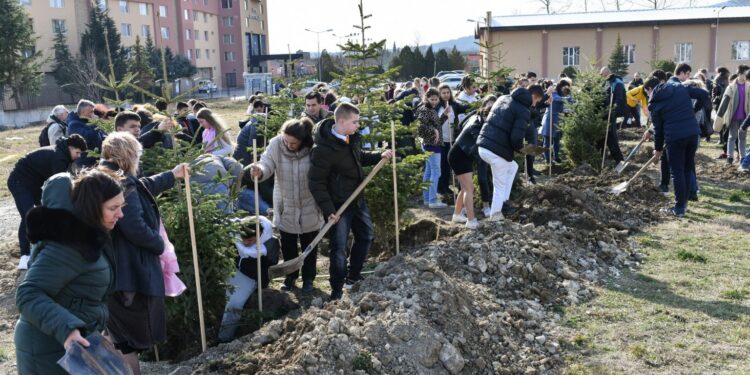 Мечтай и постигай