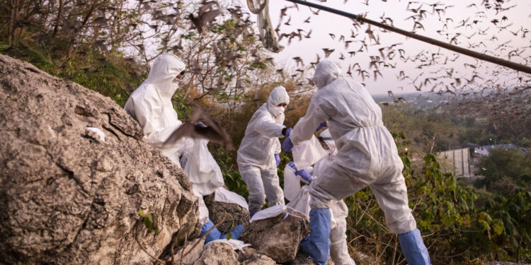 Нов институт в Тракийския университет