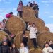 Любимата работа носи свобода