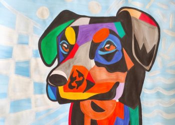 Любимци с опашки и пера